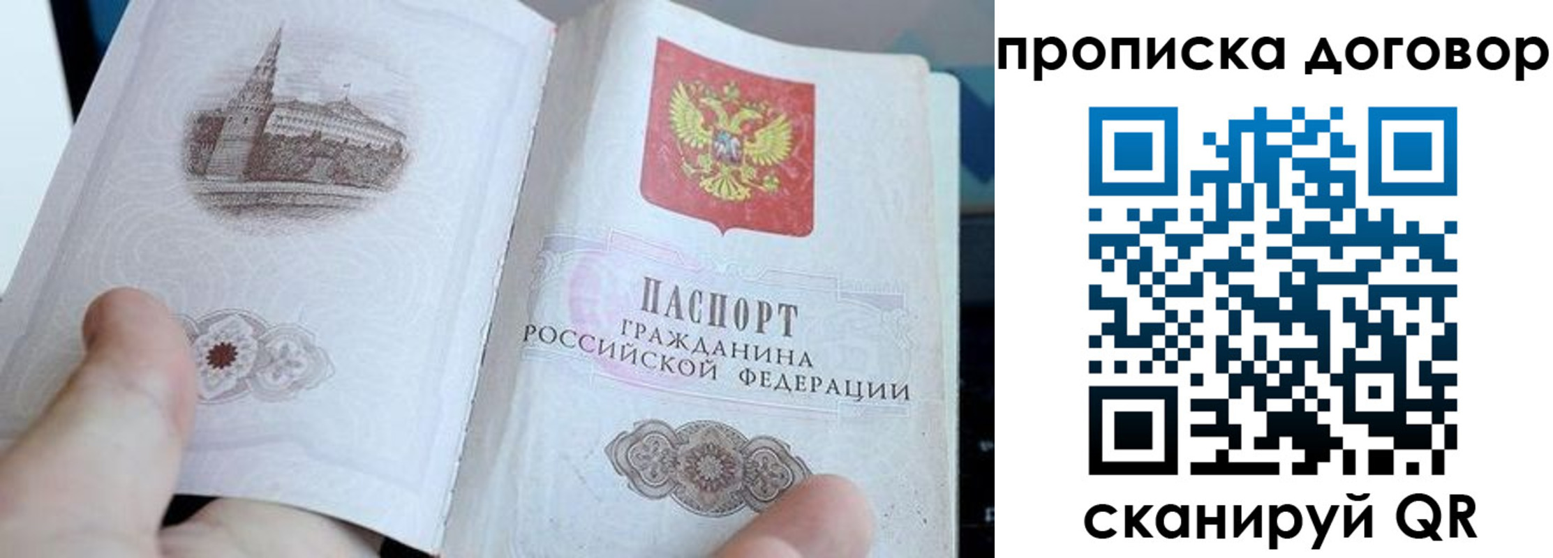прописка законно в Зверево